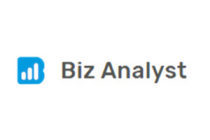 biz analyst